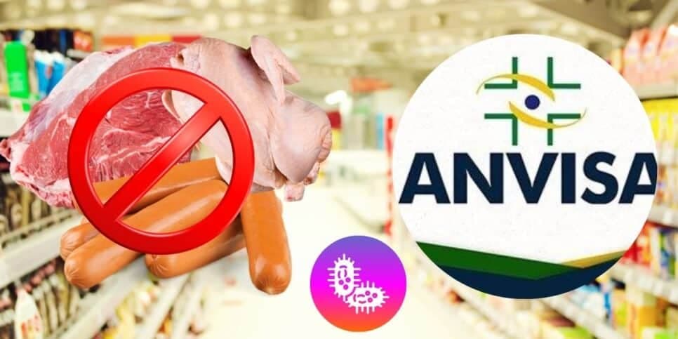 Bactéria mortal: A proibição da Anvisa contra 3 marcas populares de carne, salsicha e frango de mercados