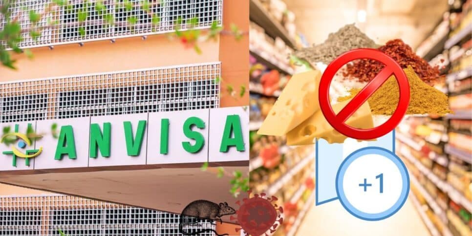 Flagra com pelo de rato, metal e bactéria fatal: A proibição da Anvisa contra 3 marcas de tempero, queijo e +