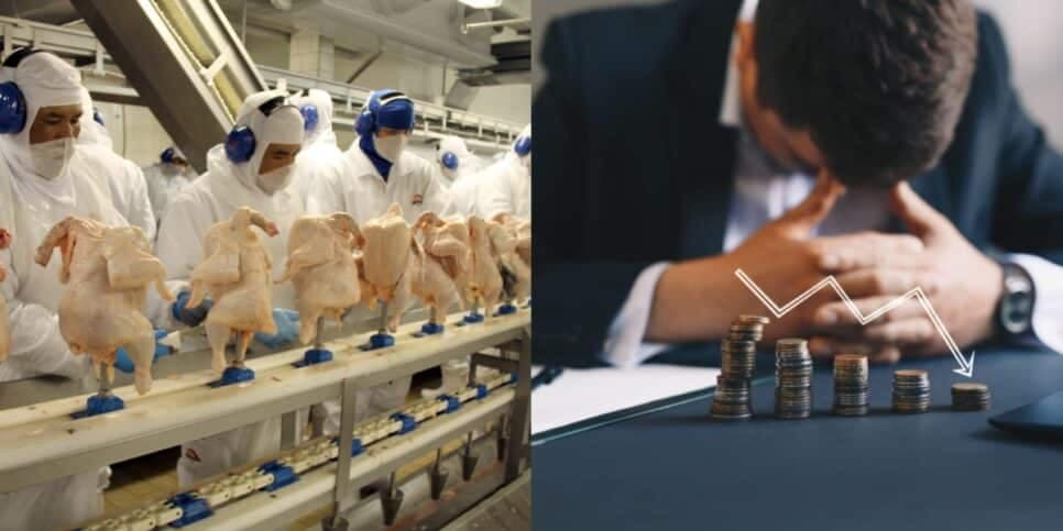 Falência e dívida de R$ 1 bilhão: Empresa brasileira de alimentos não suporta crise e fecha as portas