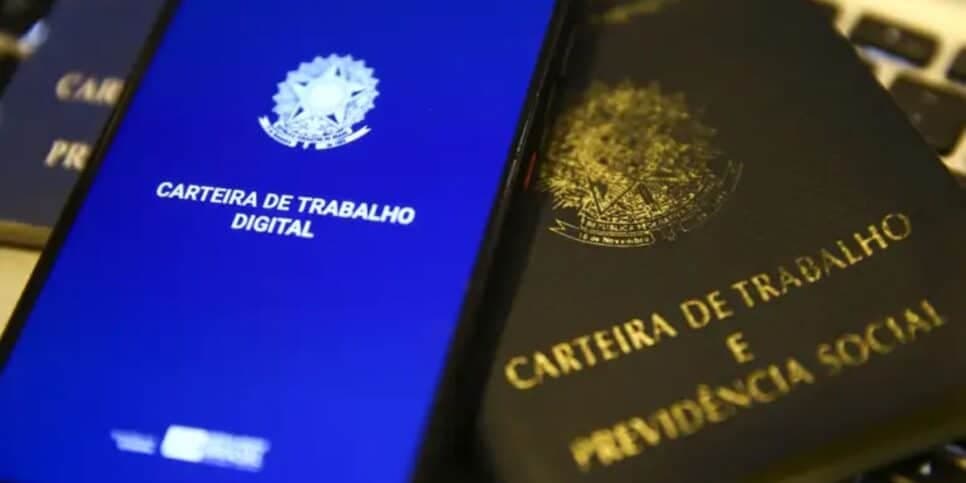 Salário Mínimo, Fernando Haddad