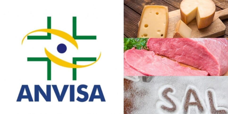 Carne, queijo e sal: 4 proibições da ANVISA chegam em 2024 contra populares das donas de casa por flagra fatal