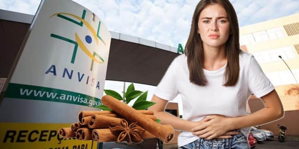 Vai te dar diarreia: Anvisa acaba de decretar proibição de canela popular das donas de casa por contaminação