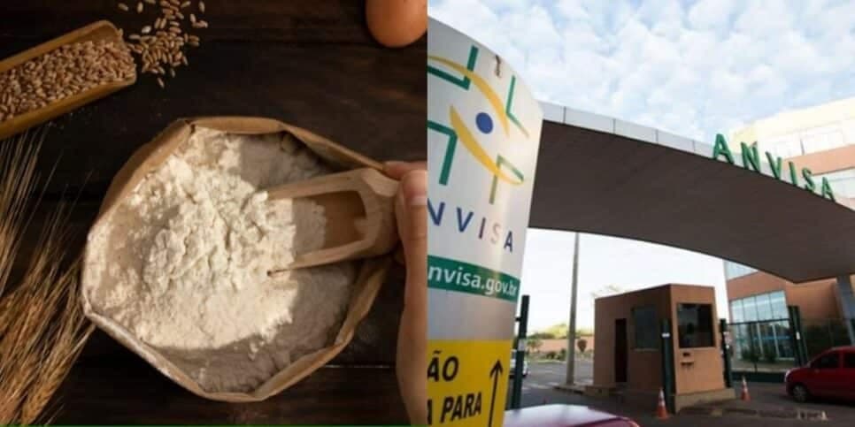 Jogue no olho da rua imediatamente: ANVISA decreta proibição de farinha nº1 de donas de casa por flagra LETAL