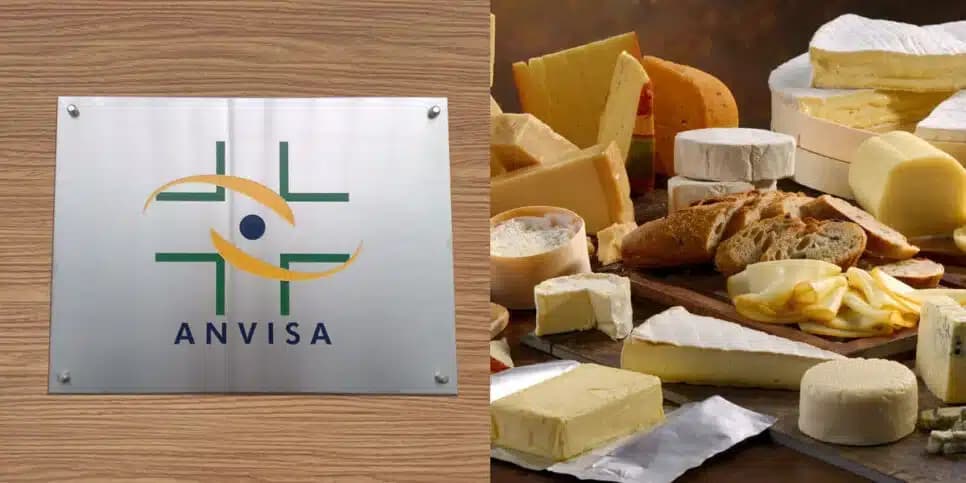 Vai te dar diarreia e fazer vomitar: Comunicado da ANVISA confirma proibição de queijo nº1 das donas de casa