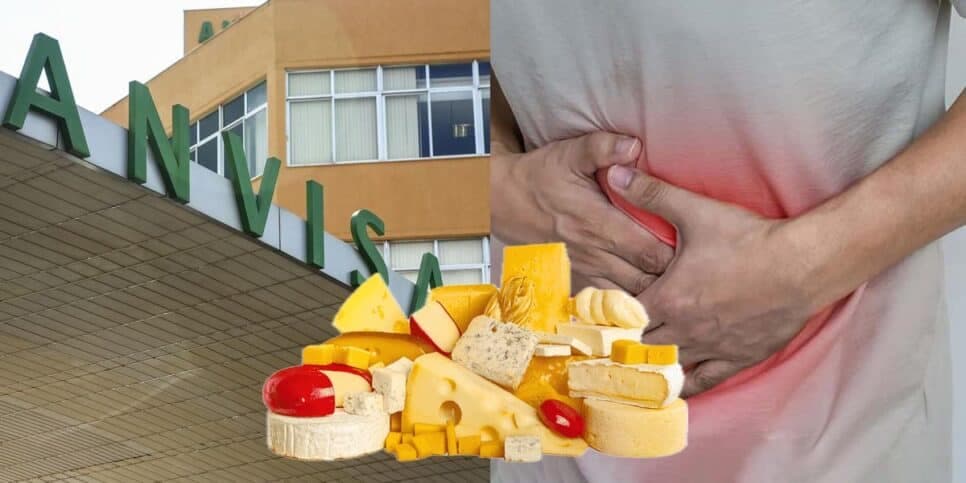 Vai te dar diarreia: ANVISA acaba de decretar proibição de queijo popular das donas de casa por contaminação
