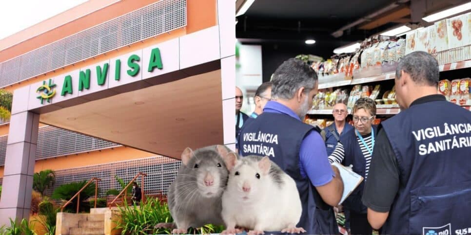 Tomado por ratos: Anvisa baixa PROIBIÇÃO contra mercado popular igual ao Carrefour por flagra nojento em SP