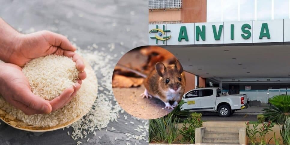 Dona de casa, arroz famoso é autuado urgentemente pela Anvisa e você precisa se alertar