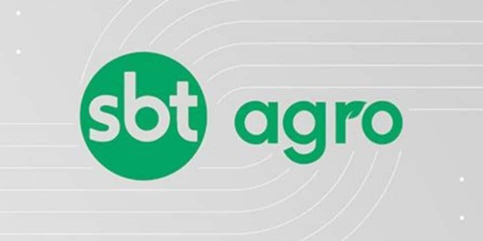 “SBT Agro” traz detalhes do cultivo do abacate e mostra Festa do Divino Pai Eterno