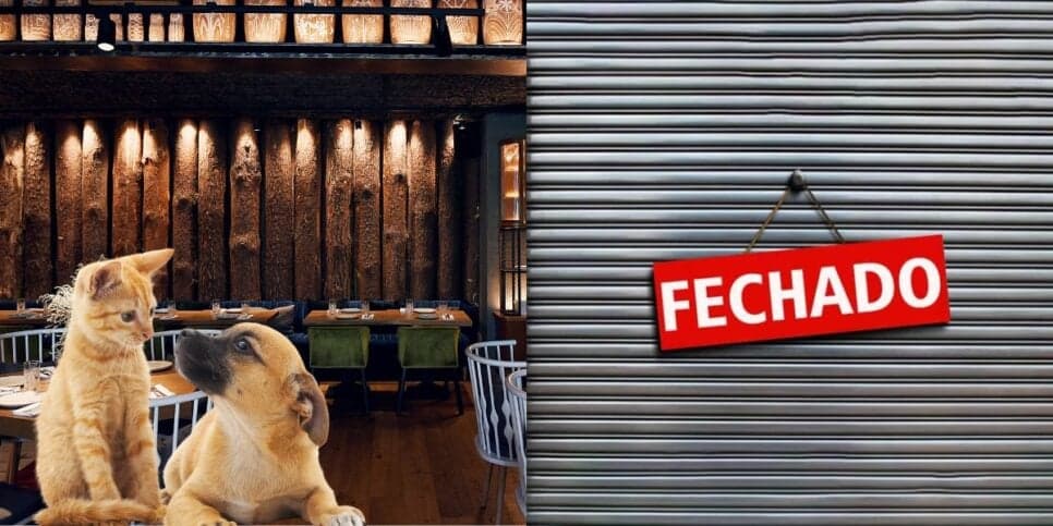 Carne de cachorro e gato na mesa: Prisão, fechamento e escândalo de badalado restaurante de São Paulo