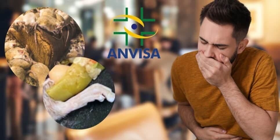 Pé de rato em sopa, roedor e comida podre: 3 flagras da ANVISA denunciam nojeira em restaurantes tradicionais