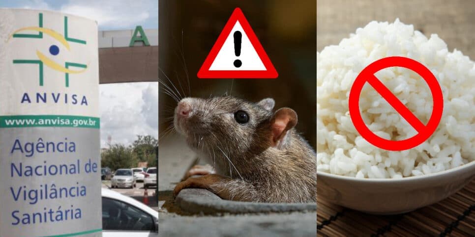 Risco à saúde: Anvisa crava proibição de marca de arroz e arranca dos mercados