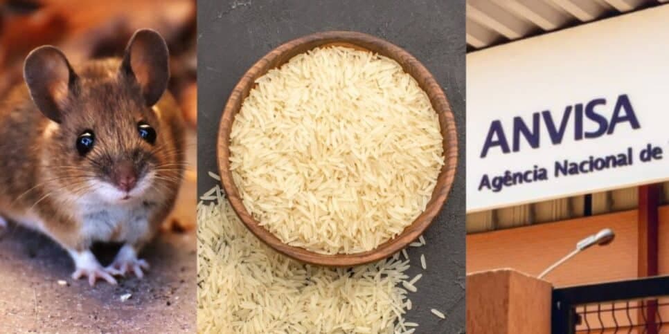 Risco fatal: O decreto da ANVISA e proibição contra marca de arroz arrancada dos mercados