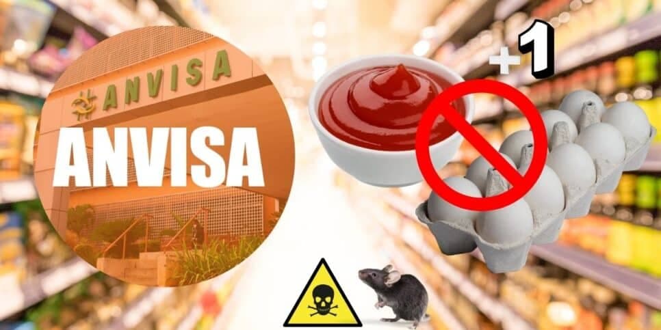 Bactéria FATAL: A proibição da Anvisa contra 3 marcas de molho, ovo e +1 popular às pressas