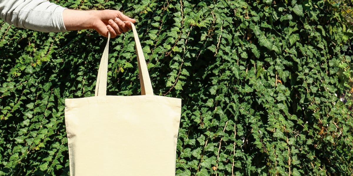 Ecobags são alternativas para consumidores (Foto: Reprodução/Freepik)