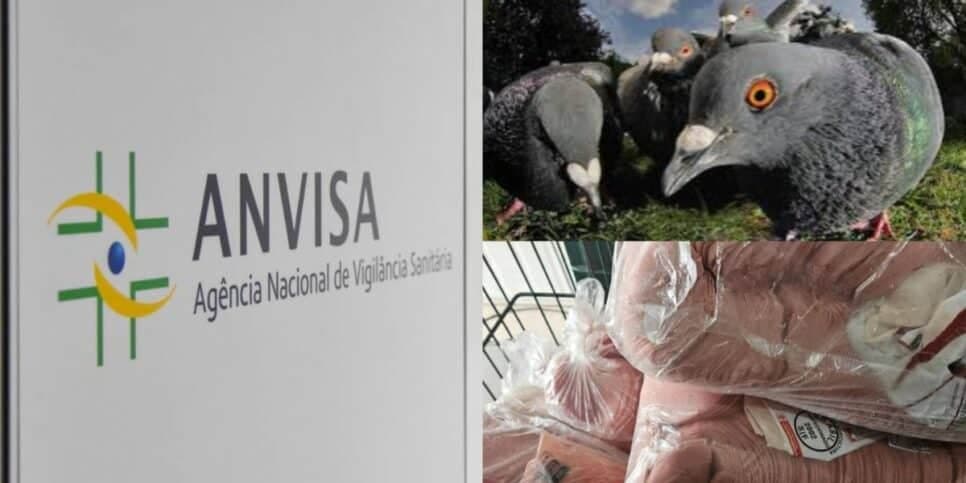 Carne de pombo e 1,5 toneladas de comida podre: Anvisa baixa o facão e interdita 2 mercados e 1 restaurante