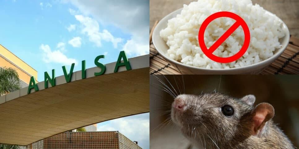 Risco à saúde: Anvisa crava proibição de marca de arroz popular e arranca dos mercados