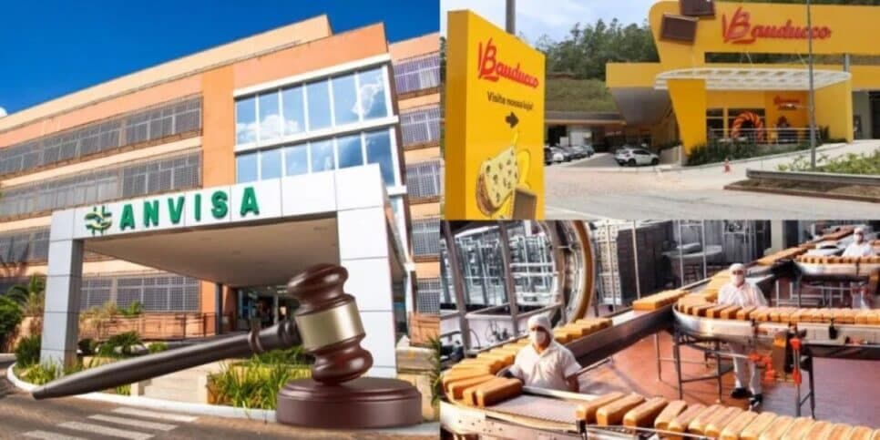 Pullman e Bauducco atingidas: A nova lei da Anvisa que atinge marcas gigantes de pães e mudança em vigor