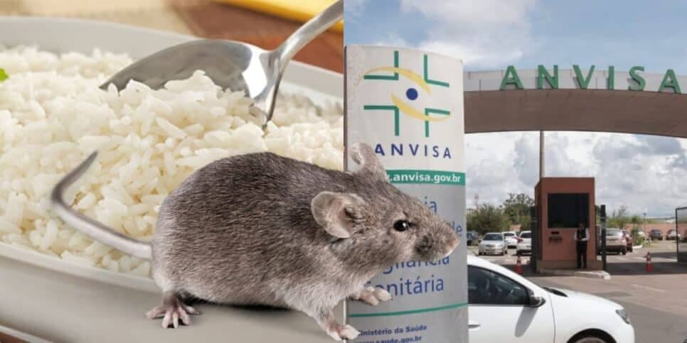 O decreto crucial da Anvisa contra marca de arroz amada e retirada às pressas dos mercados
