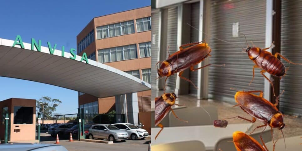 Nojeira: O fechamento de 4 restaurantes amados dos shoppings pela Anvisa e brasileiros em choque