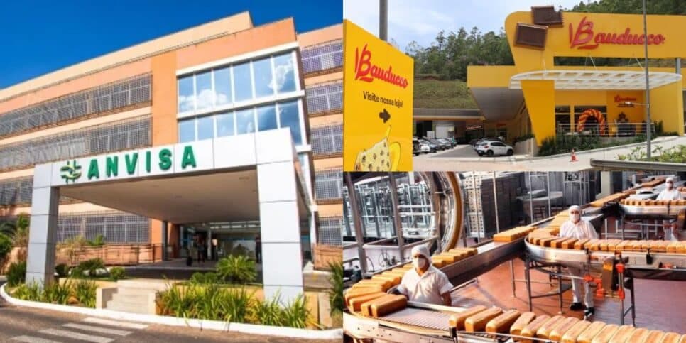 Nova lei da Anvisa: A mudança urgente que atinge marcas de pães e doces, como Pullman e Bauducco
