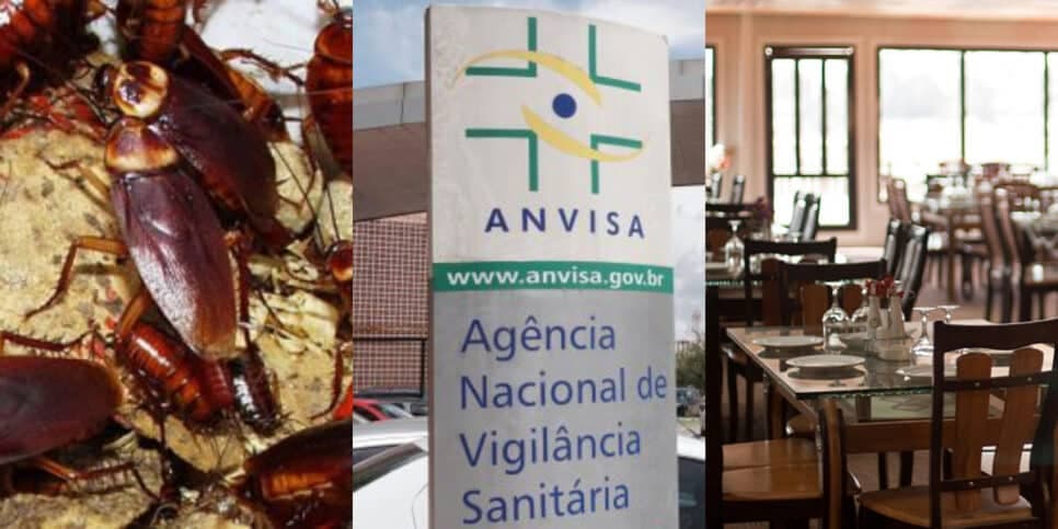Comida estragada: Anvisa baixa as portas de restaurante amado dos shoppings e mais 4 que você ama