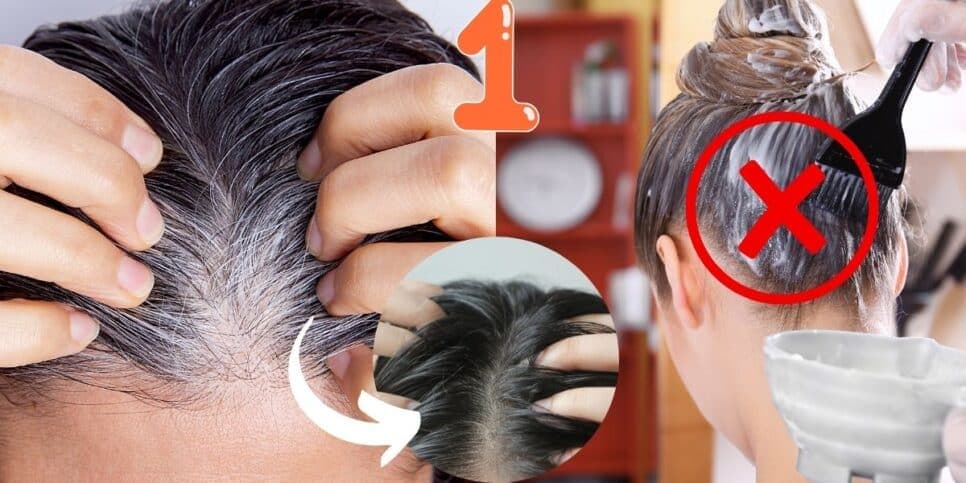 Fim do grisalho e da química: Tinta natural com único ingrediente elimina o cabelo branco até a raiz