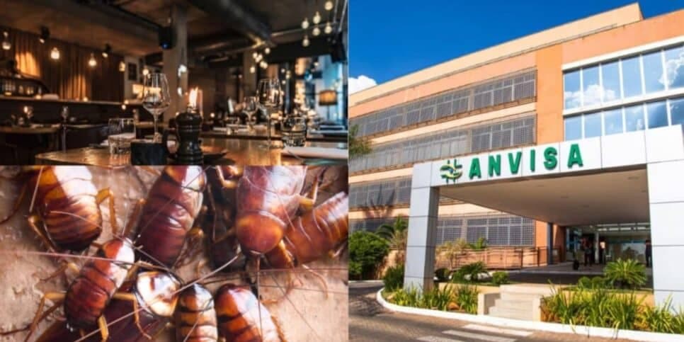 Nojeira: A interdição urgente da ANVISA contra 4 restaurantes populares em SP