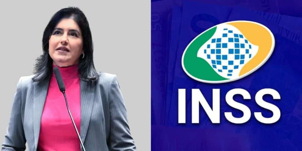 Fim dos R$ 1.412: Decisão confirmada por Simone Tebet atinge em cheio salário de milhões no INSS em 2024