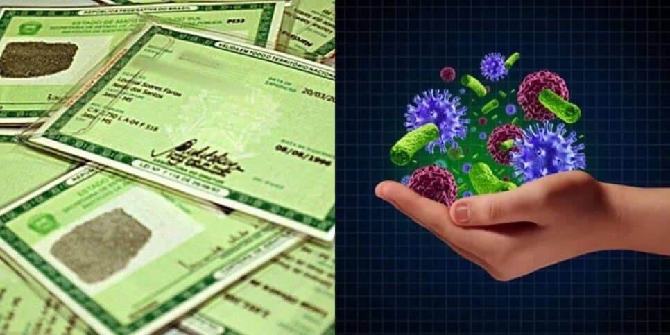 Brasileiros portadores destas doenças comuns precisam incluir informação no novo RG e jogar o velho fora