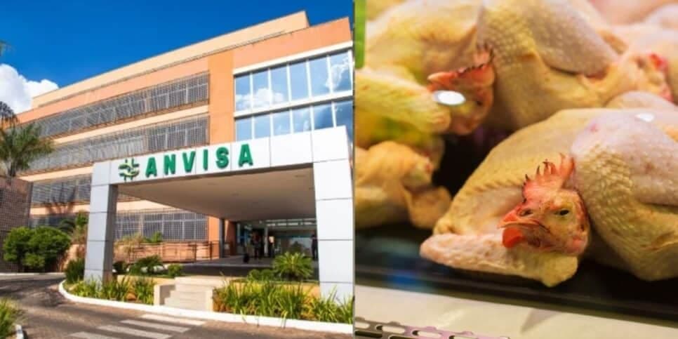 Diarreia e vômito: Record confirma proibição da Anvisa contra marca de frango