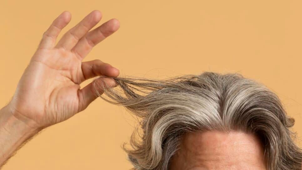 Cuidados necessários com os cabelos brancos - (Foto: Reprodução / Internet) Cuidados necessários com os cabelos brancos - (Foto: Reprodução / Internet)
