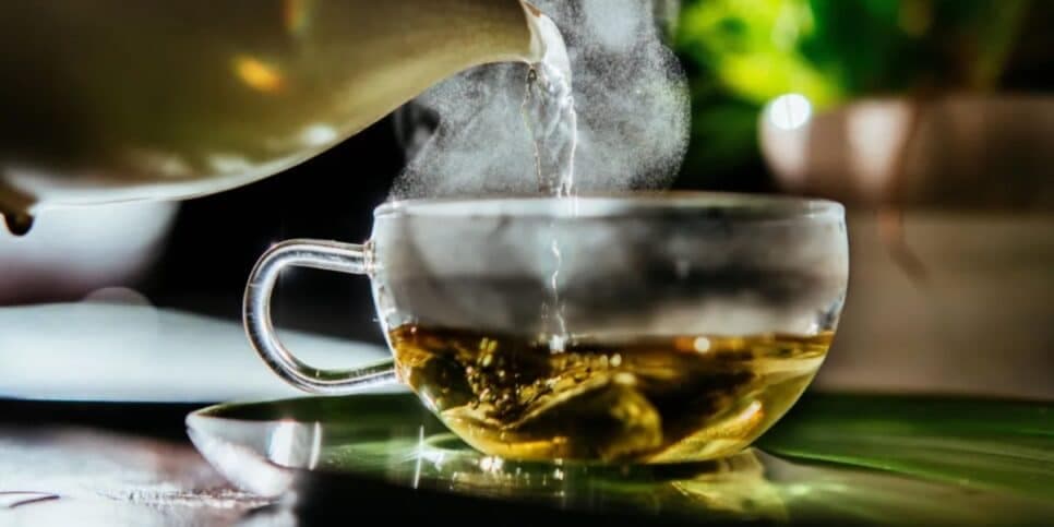 Suga a gordura do organismo: Chá milagroso com único ingrediente derruba o colesterol e salva as 60+