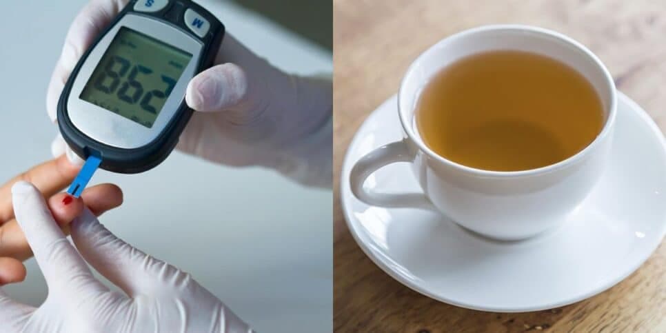 Chá antioxidante com fruta popular ajuda a prevenir diabetes