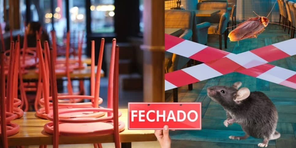 Rato, barata e comida podre: A interdição da Vigilância contra 3 restaurantes por flagra de nojeira