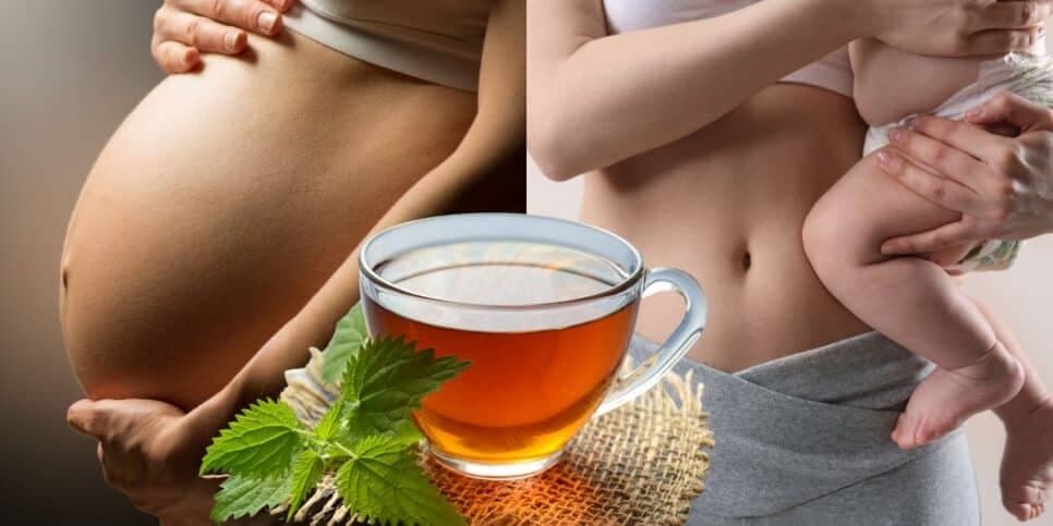 Emagrecem 5 kg: Chá milagroso com único ingrediente para perder a barriga no pós-parto