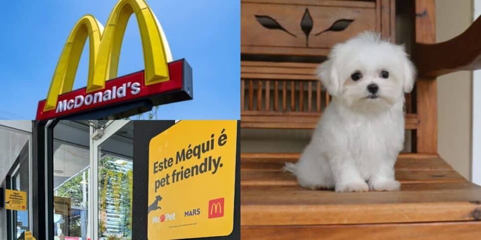 Nem o BK esperava: McDonald's inaugura espaço para pets em todo o Brasil para você levar seu cãozinho