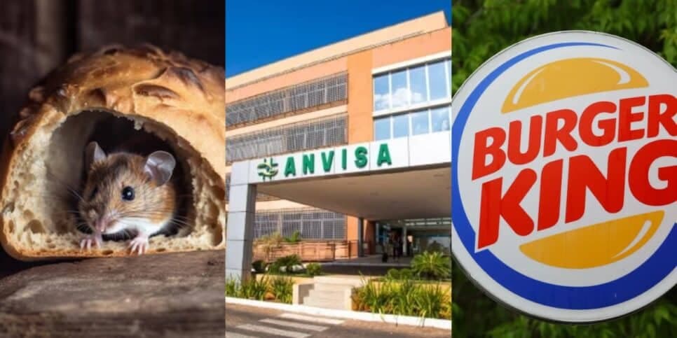 Pães contaminados: Rival N°1 do Burger King tem loja fechada após proibição da Anvisa