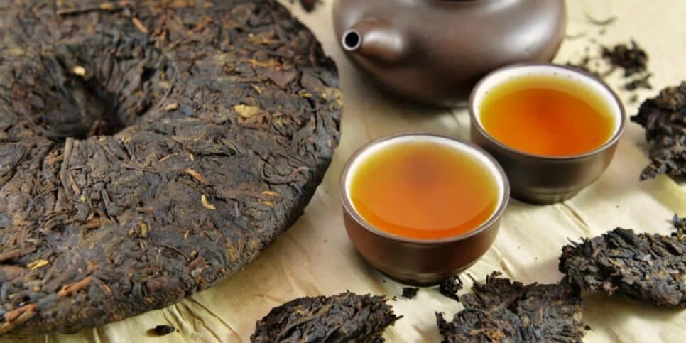 Pu Erh (Reprodução/Internet) Pu Erh (Reprodução/Internet)