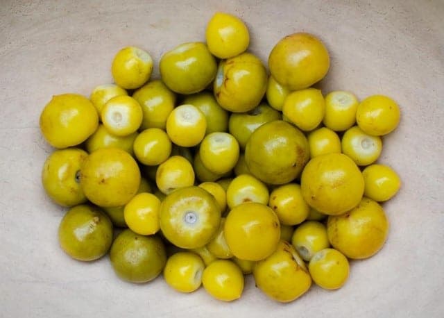 Fruta murici (Foto: Reprodução / Canva)

