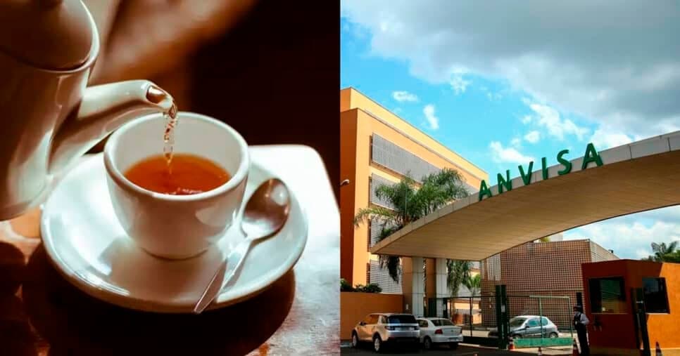 Pode estar na sua cozinha: Anvisa informa proibição de chá popular no Brasil em abril de 2026