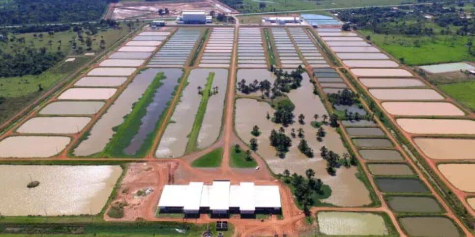 Peixes da Amazônia era um gigante complexo no ramo de pescados (Foto Reprodução/Compre Rural)