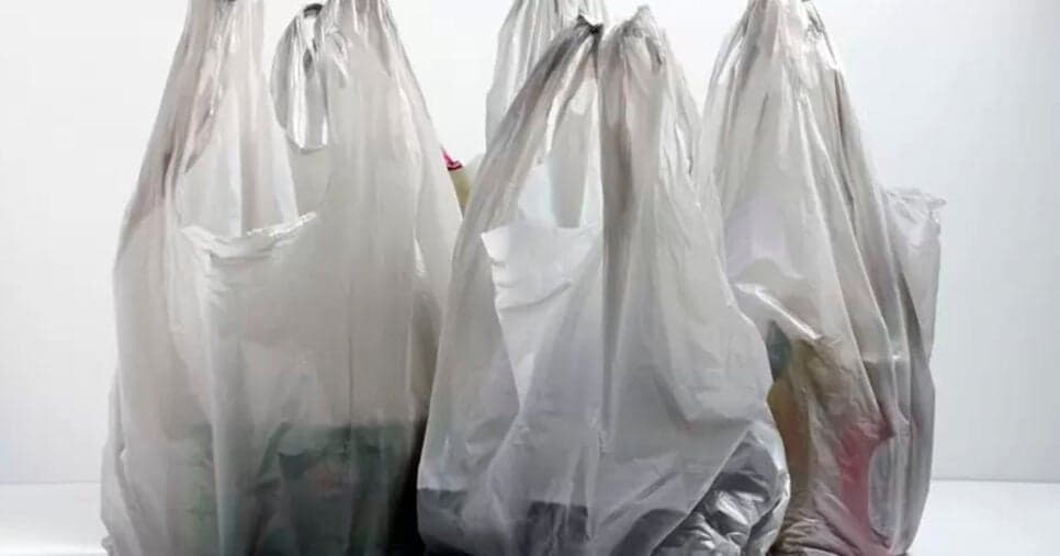 Sacolas plásticas (Foto: Reprodução)  
