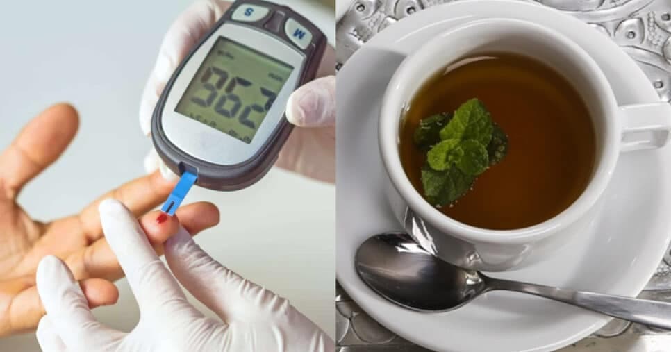 Sugam o açúcar do sangue: 2 chás milagrosos regulam a glicose e salvam as 60+ da diabetes