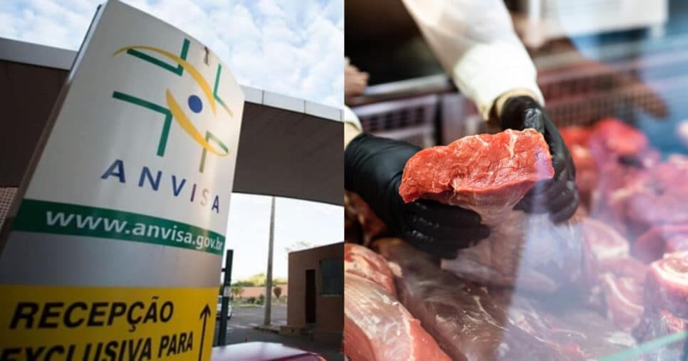 300KG de carne podre: ANVISA interdita açougue popular às pressas por flagra de nojeira