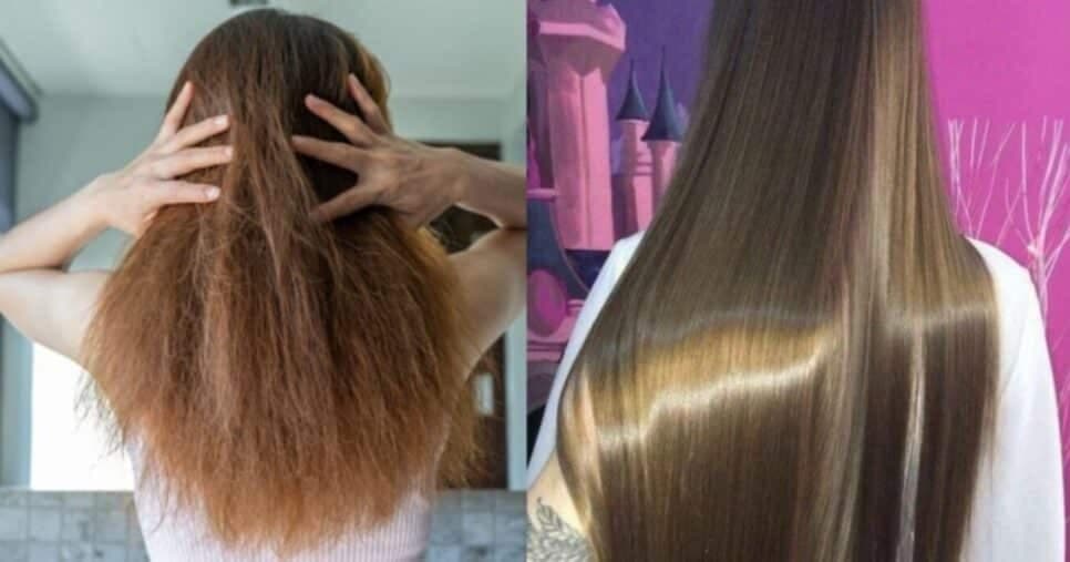 Melhor que hidratação de salão: 3 ingredientes naturais ressuscitam cabelos danificados pela tintura
