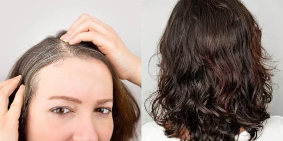 Tchau, grisalhos: Receita caseira com 2 ingredientes elimina cabelo branco das 60+ sem plástica