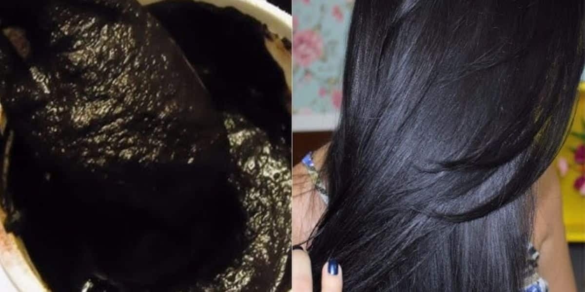 Chá preto cobre todos os fios brancos e grisalhos (Foto Reprodução/Montagem/Tv Foco/Lennita/Canva/YouTube)