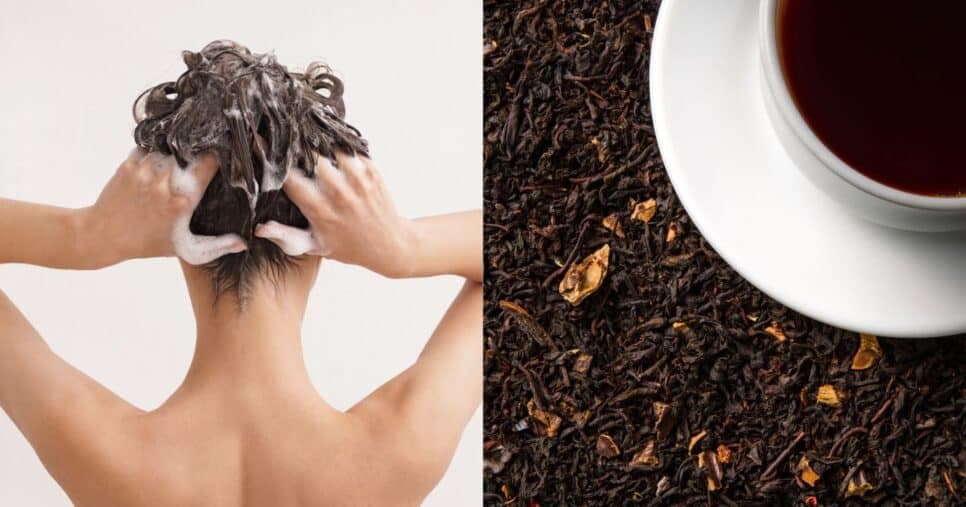 Fim do grisalho: Chá potente com 3 ingredientes ressuscita o cabelo moreno sem sair de casa