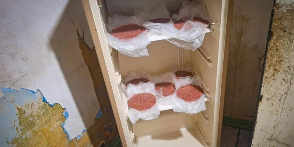 Imagem do post Imagem do post