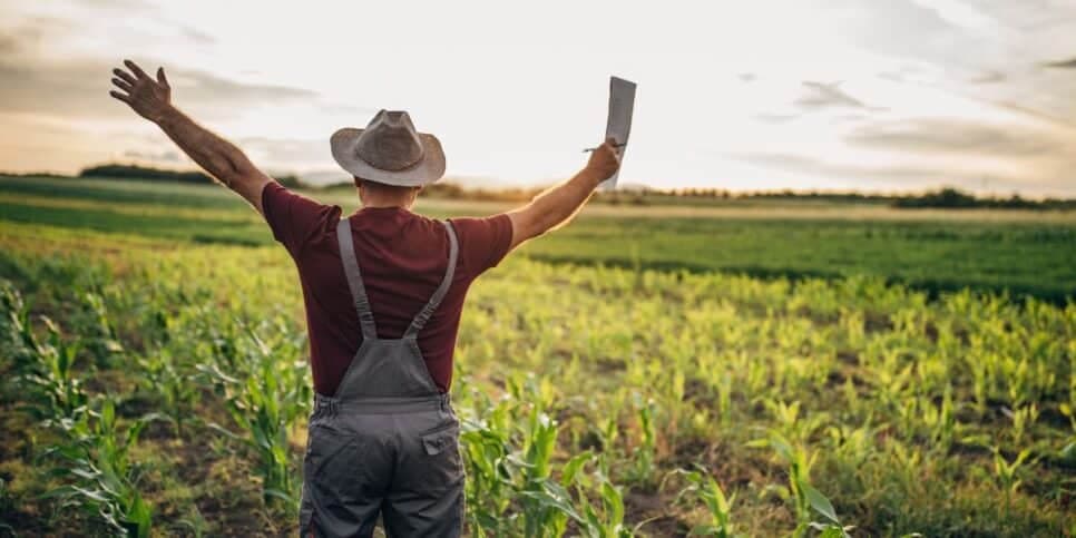 Ilustrador agricultor (Foto: Canva) Ilustrador agricultor (Foto: Canva)